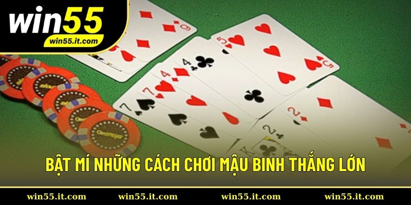 Chiến thuật chơi mậu binh thắng lơn hữu ích