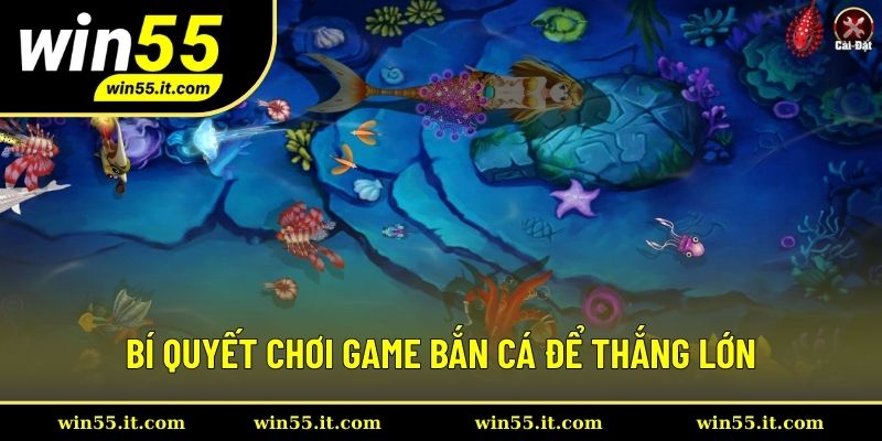 Bí quyết chơi game cá để thắng lớn