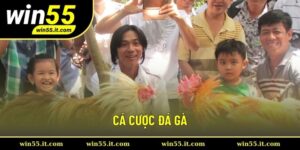 Cá cược đá gà