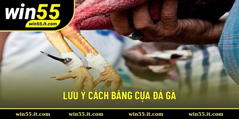 Lưu ý quan trọng để băng cựa gà chuẩn xác