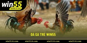 Đá gà tre