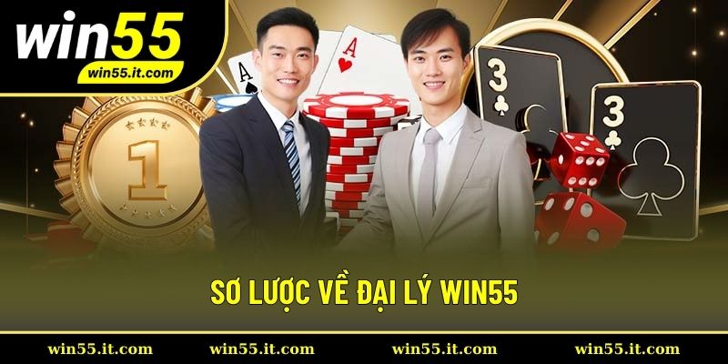 Đôi nét chung về đại lý Win55
