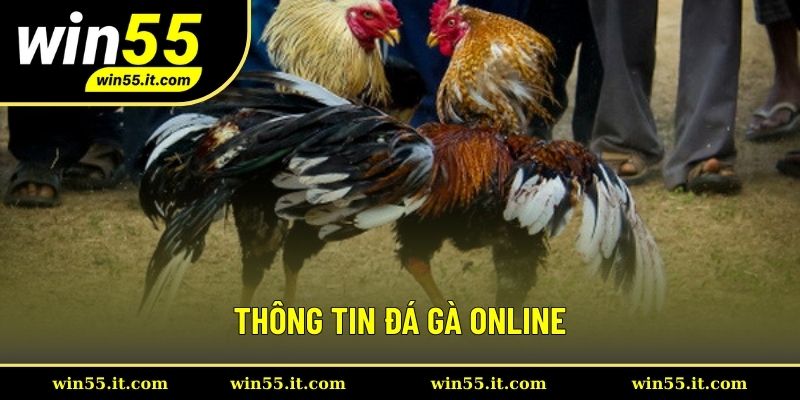 Đá gà là hình thức gì?