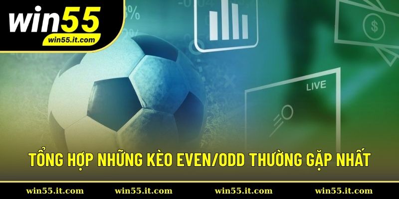 Top 3 kèo cược Even/Odd nổi bật nhất