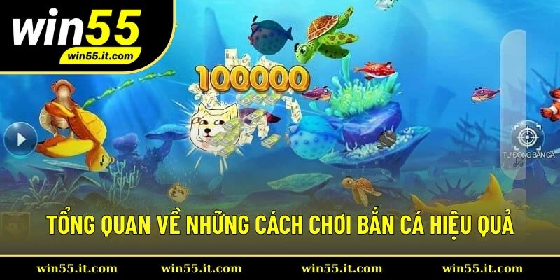 Tổng quan về những cách chơi bắn cá hiệu quả